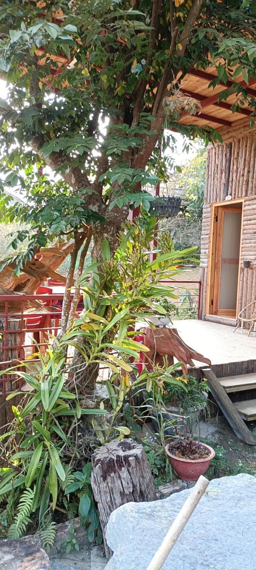 Hotel Moc'S House Bac Ha  Zewnętrze zdjęcie
